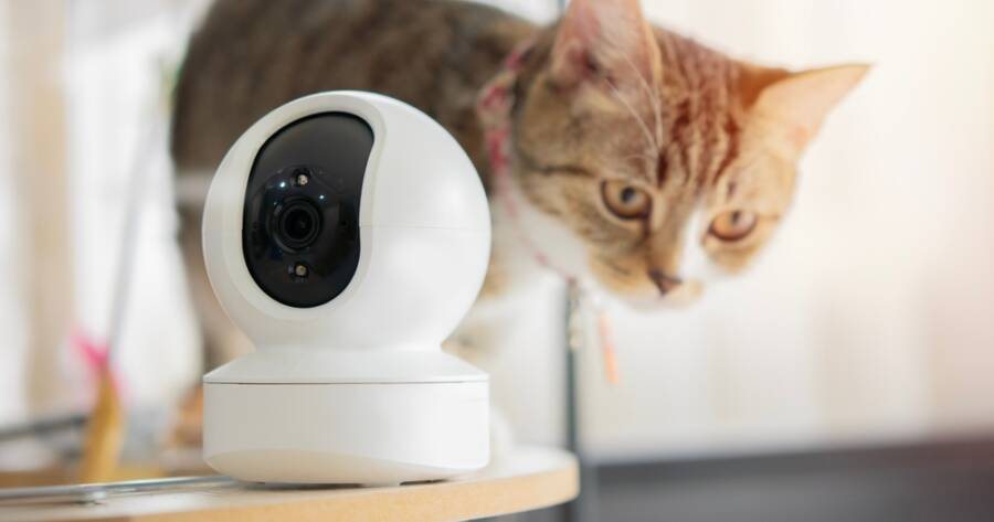 A discreet home security camera in a bright, welcoming room